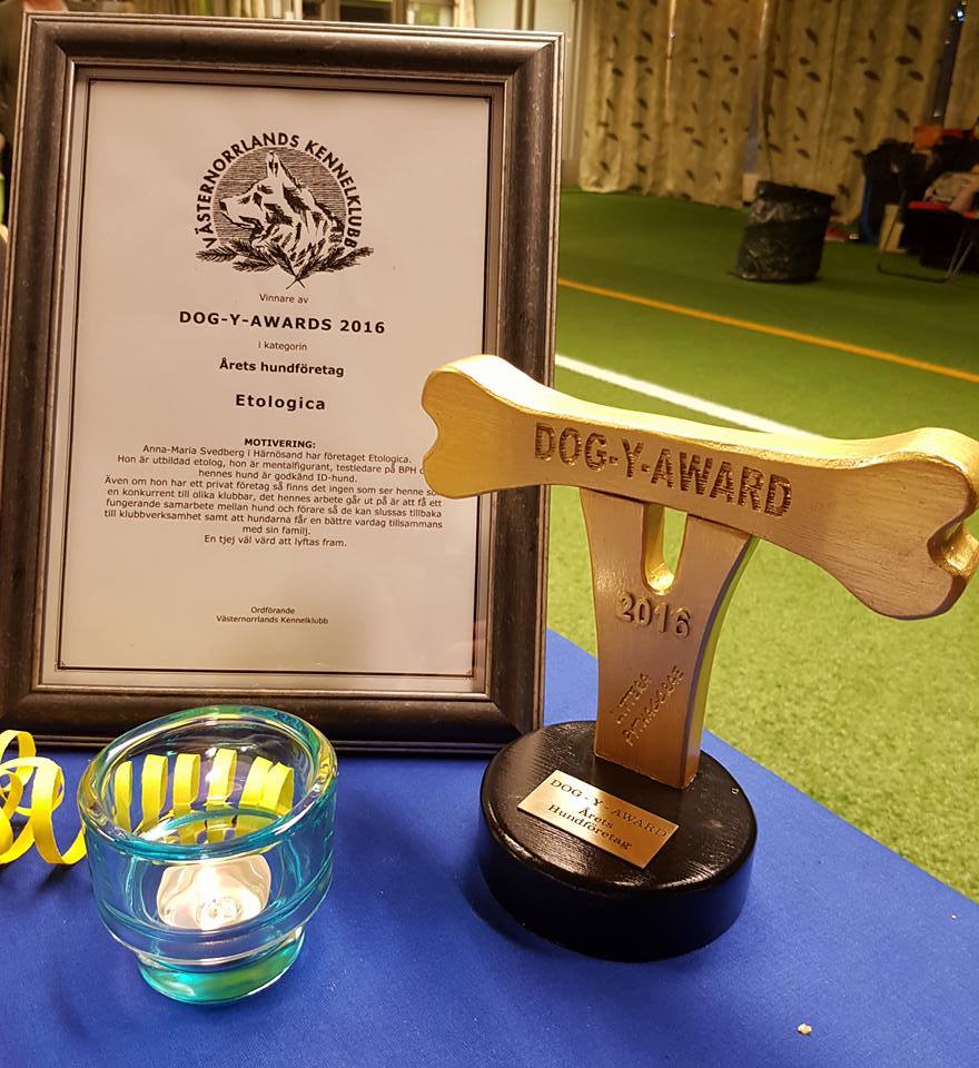 DOG-Y-AWARDS Årets hundföretag 2016